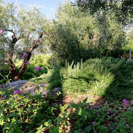 Sugli Allori Diano Marina Bagian luar foto